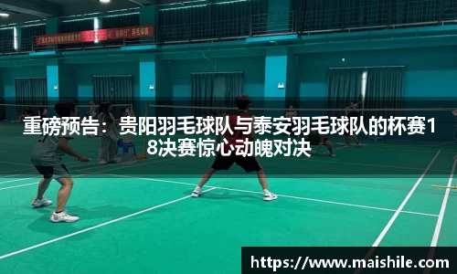 db电竞官网