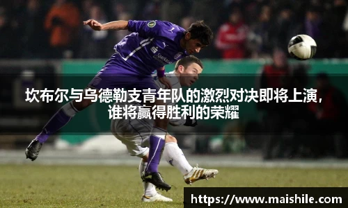 db电竞平台